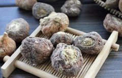 Is ginseng maca oyster capsule effective in nourishing kidne