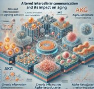 Professional enzyme preparation OEM: AKG k