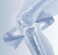 ���������������������ǰ�������ƬOEM���ƴ�