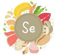 ������Ҷ������ѹƬ�ǹ����� ֲ���л���+���������ϸ���п����