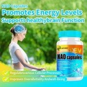 ϸ������˥��ѡ��:��޼«�����Ҷ��Ƽӹ�����