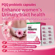 Export OEM  Processing PQQ Women's Private Probiotics Capsul