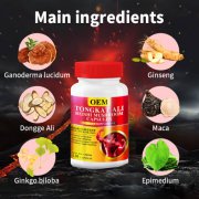 ţ���������򵰰� ���������ɷ���ǿ������OEM���ƴ�������