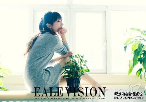 ������йѹ�� �ҶԷ�ʽ����Ҫ