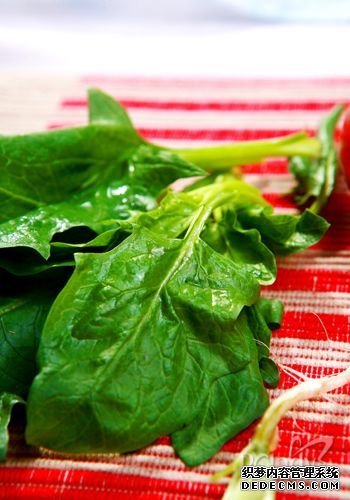 ĸ���м�������� �ݹ��ձ�ʳ����Ⱦ